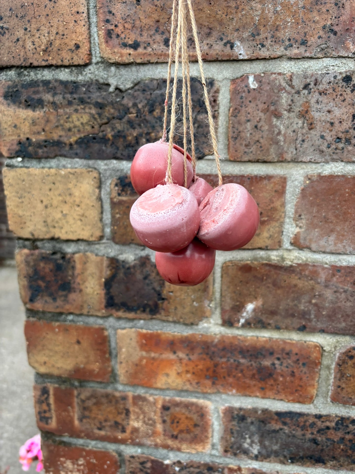 Grape Soap
